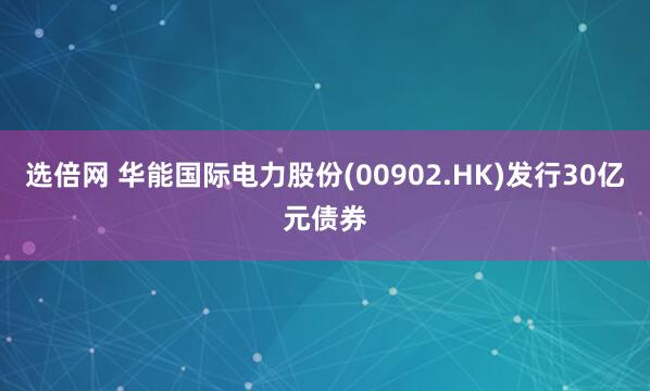 选倍网 华能国际电力股份(00902.HK)发行30亿元债券