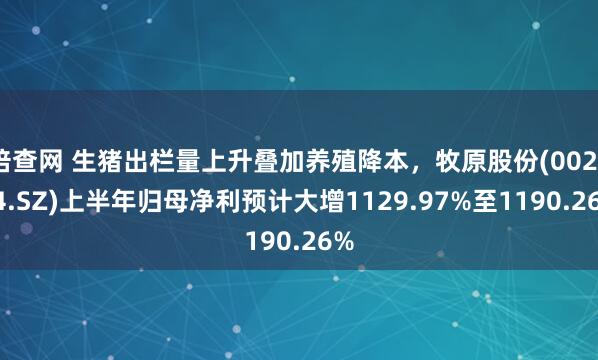 倍查网 生猪出栏量上升叠加养殖降本，牧原股份(002714.SZ)上半年归母净利预计大增1129.97%至1190.26%