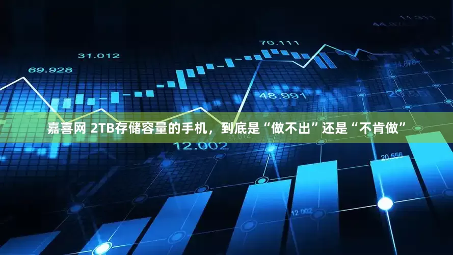 嘉喜网 2TB存储容量的手机，到底是“做不出”还是“不肯做”